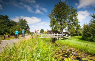 Route 1 vanuit havens