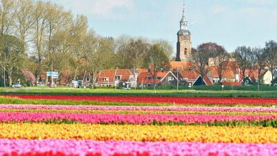 In Memoriam Fred Postma